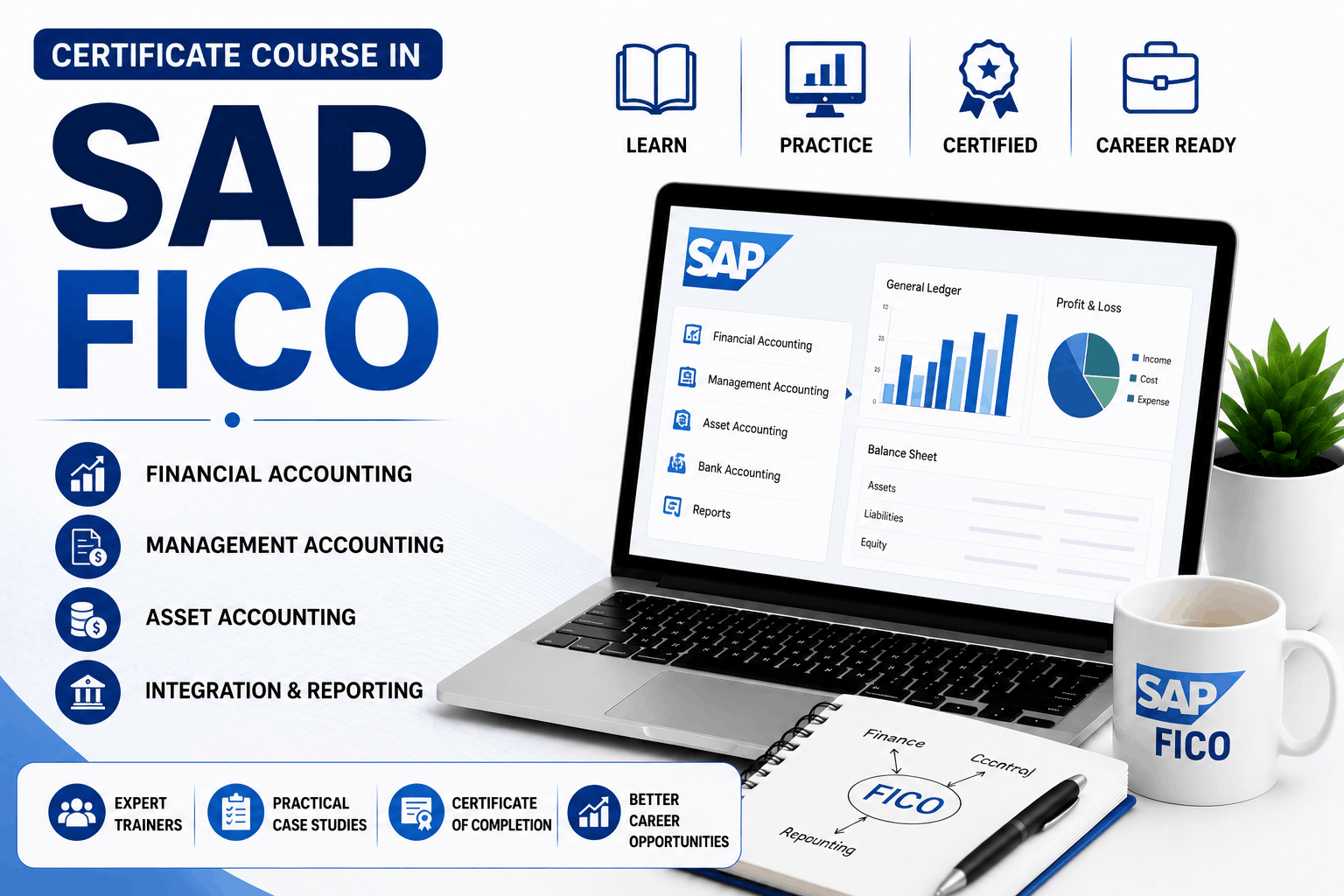 SAP FICO